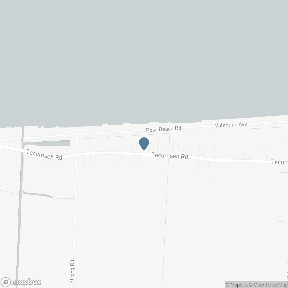 663 COUNTY 2 ROAD, Belle River, Ontario N8L 1K3
